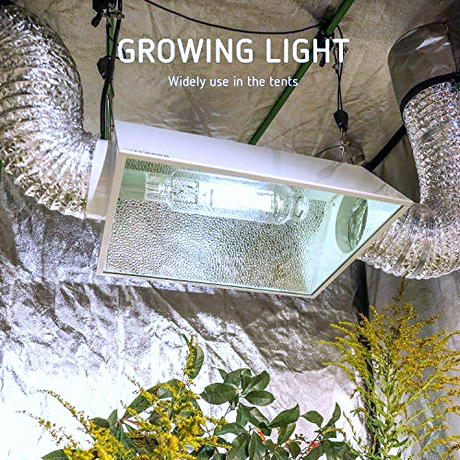 Growing light